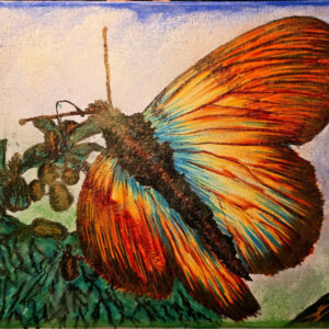 Papilon painting